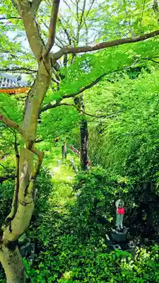 南法華寺（壷阪寺）(奈良県)