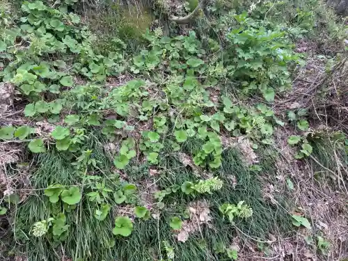 春日山神社の{uncategorized: "未分類", other: "その他", undefined: "問題あり", building: "その他建物", grave: "お墓", sacred_gate: "鳥居", guardian: "狛犬", statue: "像", buddha: "仏像", history: "歴史", nature: "自然", garden: "庭園", animal: "動物", pagoda: "塔", temizu: "手水舎", mountain_gate: "山門・神門", sanctuary: "本殿・本堂", subordinate: "末社・摂社", art: "芸術", scenery: "景色", jizo: "地蔵", ema: "絵馬", goshuin: "御朱印", omikuji: "おみくじ", items: "授与品その他", amulet: "お守り", goshuincho: "御朱印帳", eats: "食事", festival: "お祭り", votive_dance: "神楽", shichigosan: "七五三参", wedding: "結婚式", experience: "体験その他", initially: "初詣", around: "周辺", anti_infection: "感染症対策"}