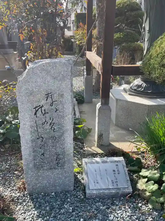 護国寺(山口県)