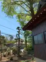 日枝神社の庭園