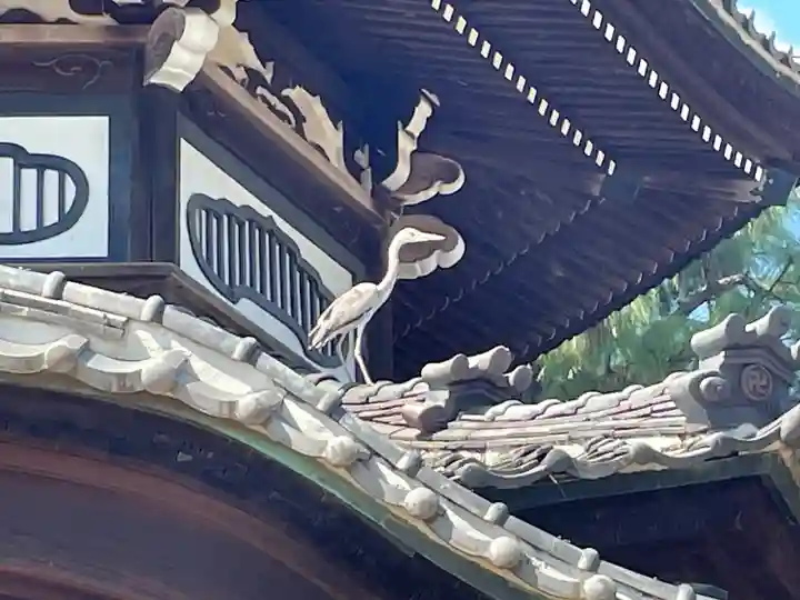 観音寺(世田谷山観音寺)(東京都)