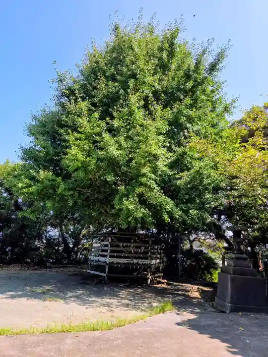 熊野神社(長井熊野神社)(神奈川県)