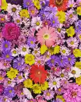 大鏑神社(福島県)