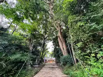 春日神社(奈良県)
