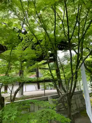 興聖寺(京都府)