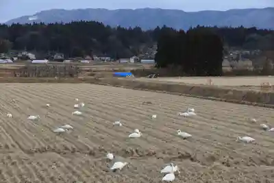天満神社の周辺