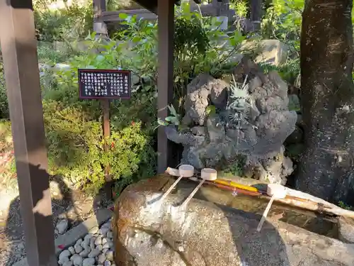 大善寺の手水舎