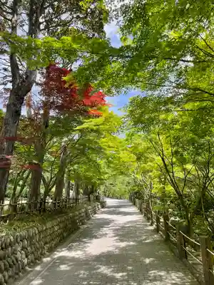 尊永寺(静岡県)