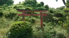 敷島神社の鳥居