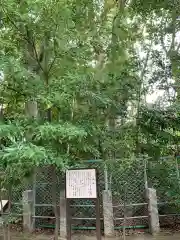 新田神社の自然