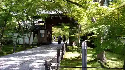 禅林寺（永観堂）の山門・神門