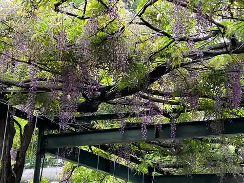 國領神社(東京都)