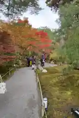 宝厳院(京都府)