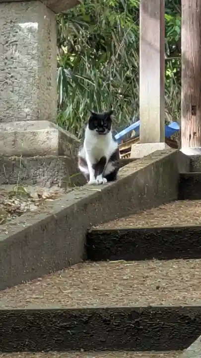 安福寺(大阪府)