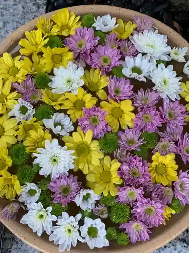 彌都加伎神社の手水舎
