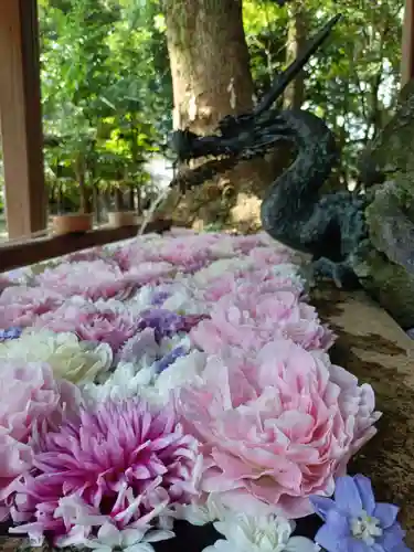 清洲山王宮　日吉神社の手水舎