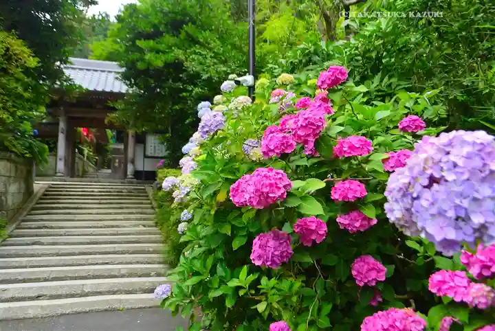 岩殿寺(神奈川県)