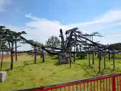 唐崎神社の自然