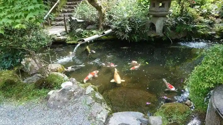 一條殿 新善光寺(京都府)