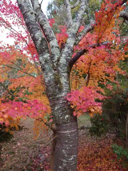 大神神社(奈良県)