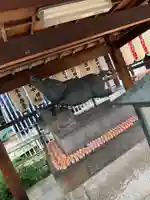 摩利支尊天堂の御朱印