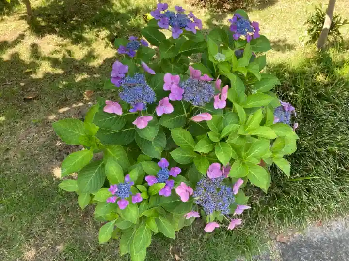 横浜 西方寺(神奈川県)