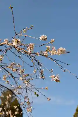 西明寺(滋賀県)
