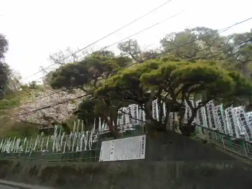 星井寺（虚空蔵堂)の周辺