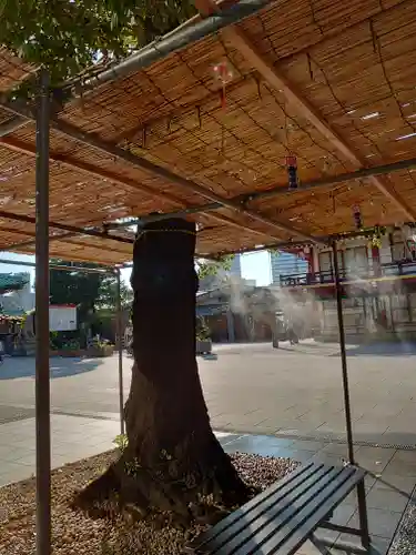 神田神社（神田明神）(東京都)