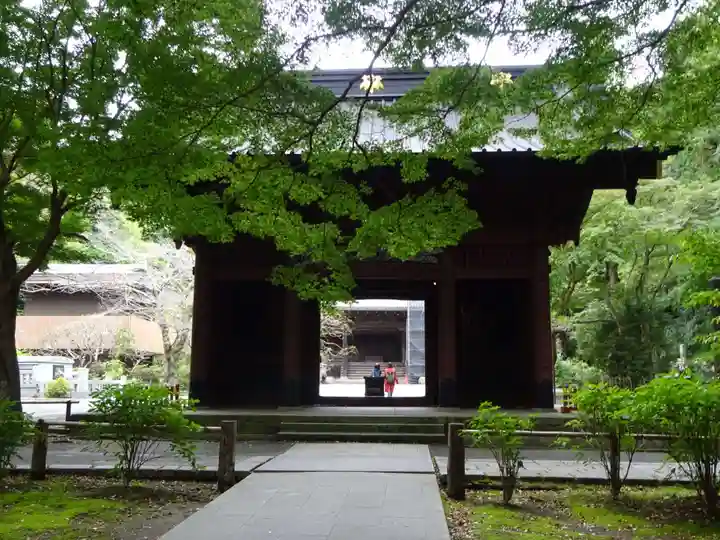 妙本寺の山門・神門