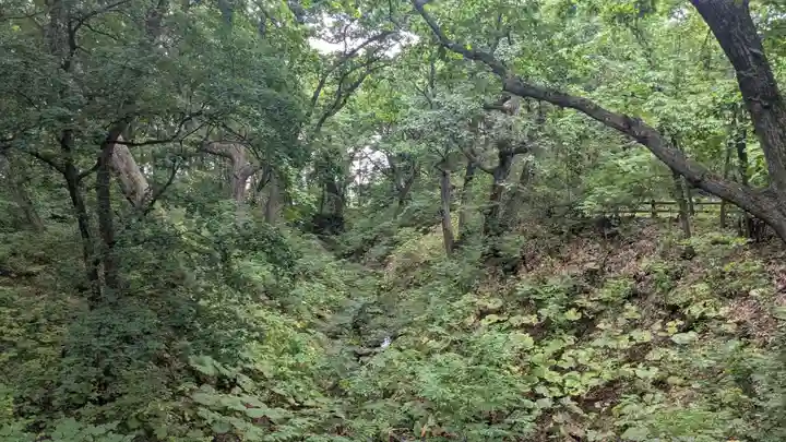 音更神社の自然