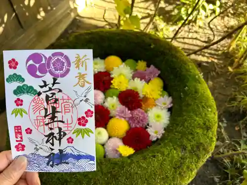 菅生神社(愛知県)