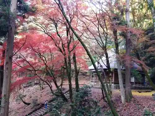 鶏足寺(滋賀県)