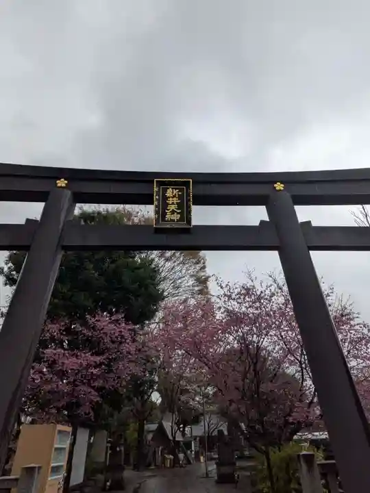 新井天神北野神社(東京都)