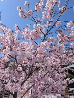 本牧神社(神奈川県)