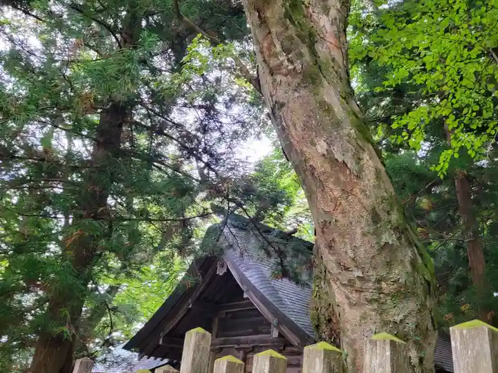 諏訪大社上社前宮のその他建物