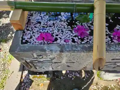 元町厳島神社(神奈川県)