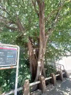 太田姫稲荷神社跡(一口神社)(東京都)