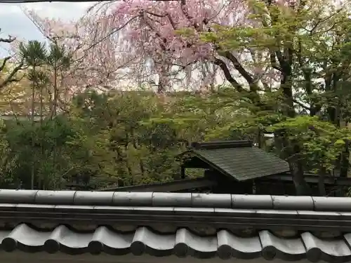 来迎寺(井戸来迎寺・紫雲山来迎寺)の本殿・本堂