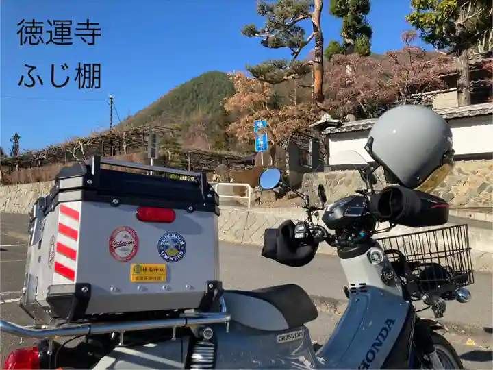 徳運寺(長野県)