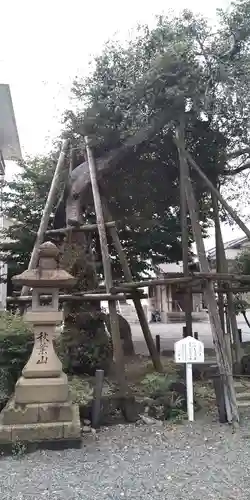 若宮神社(三嶋大社元摂社)(静岡県)