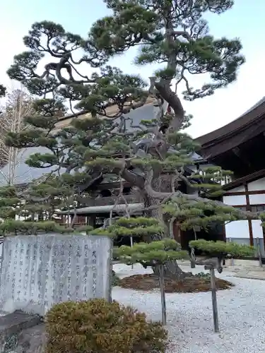 恵林寺の庭園