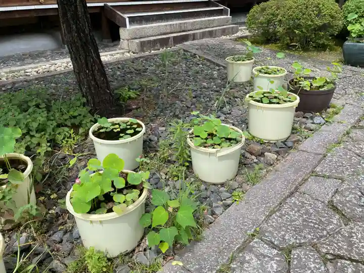 慧光寺(京都府)