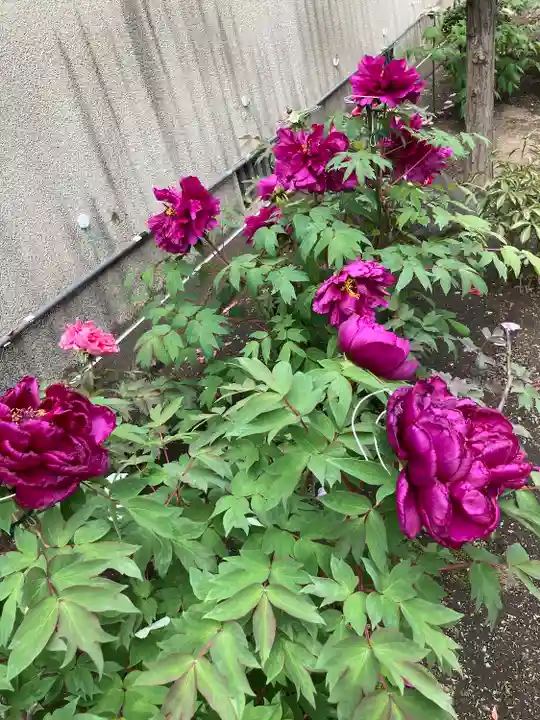 慈眼寺(神奈川県)