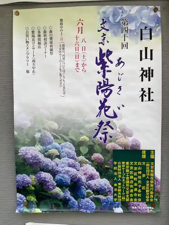 白山神社(東京都)