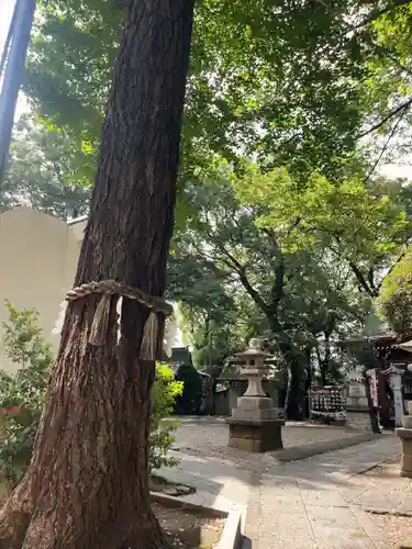 駒繋神社(東京都)