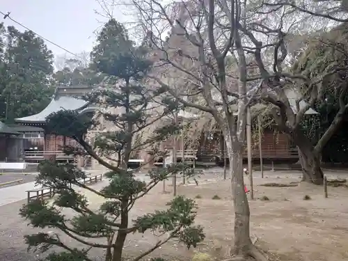 常陸第三宮　吉田神社の庭園