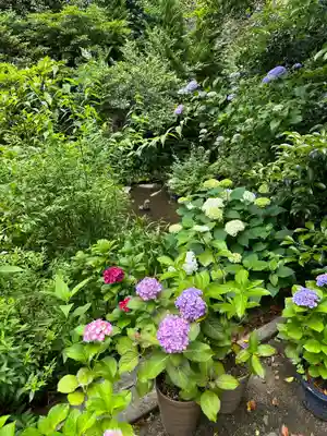 大綱金刀比羅神社(神奈川県)