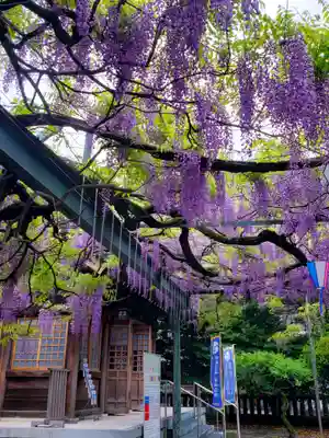 國領神社(東京都)