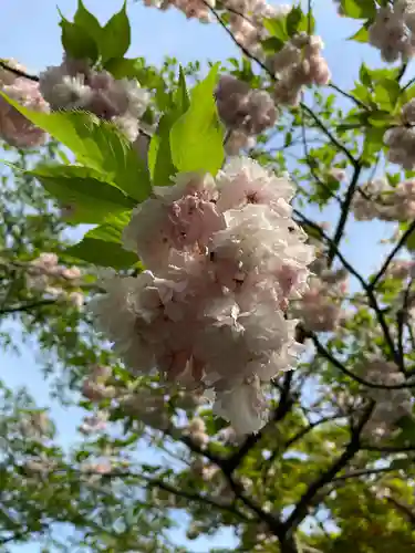 松尾寺(京都府)